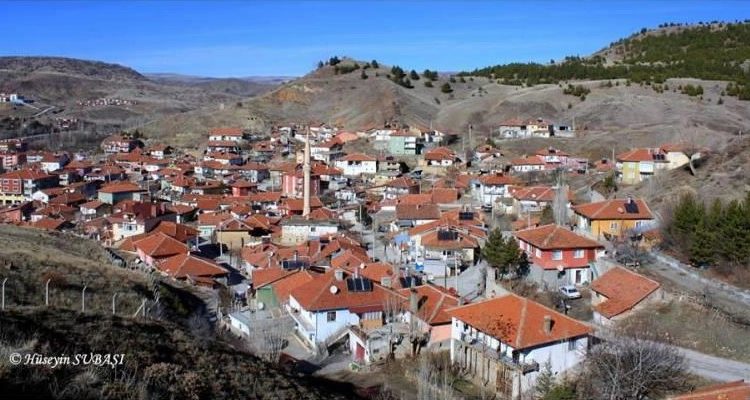 Şabanözü, Firma rehberi,Sabanözü